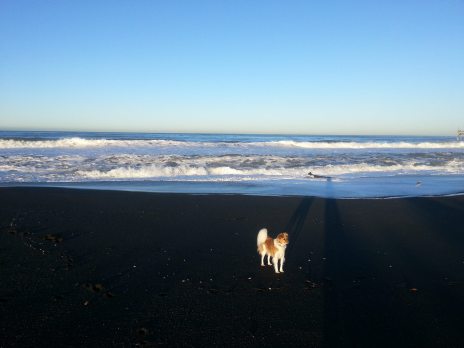 10687319_10205852065411731_3570494065483671860_o